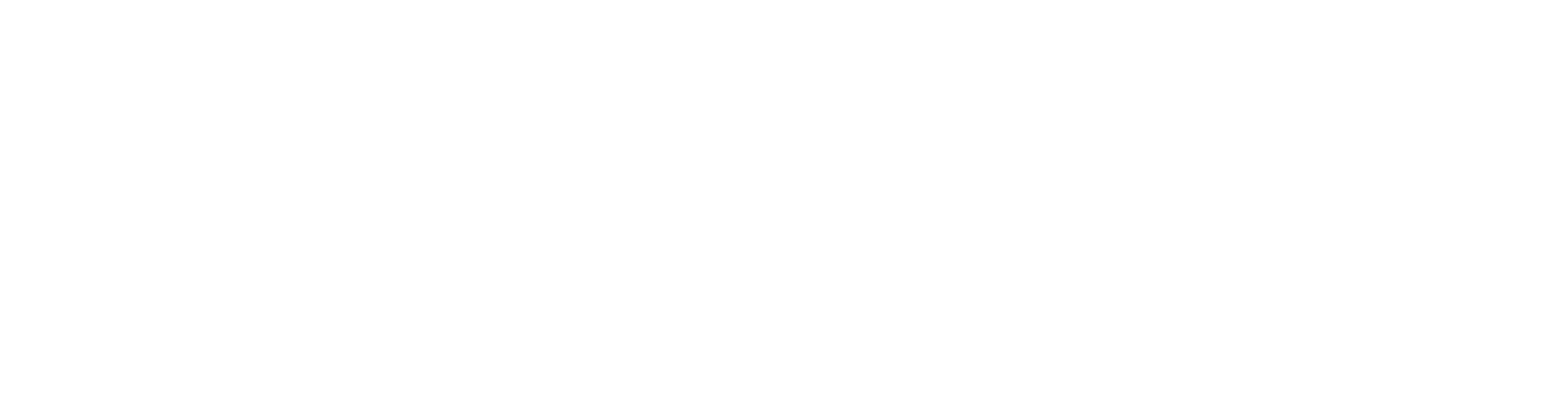 DIARIZT
