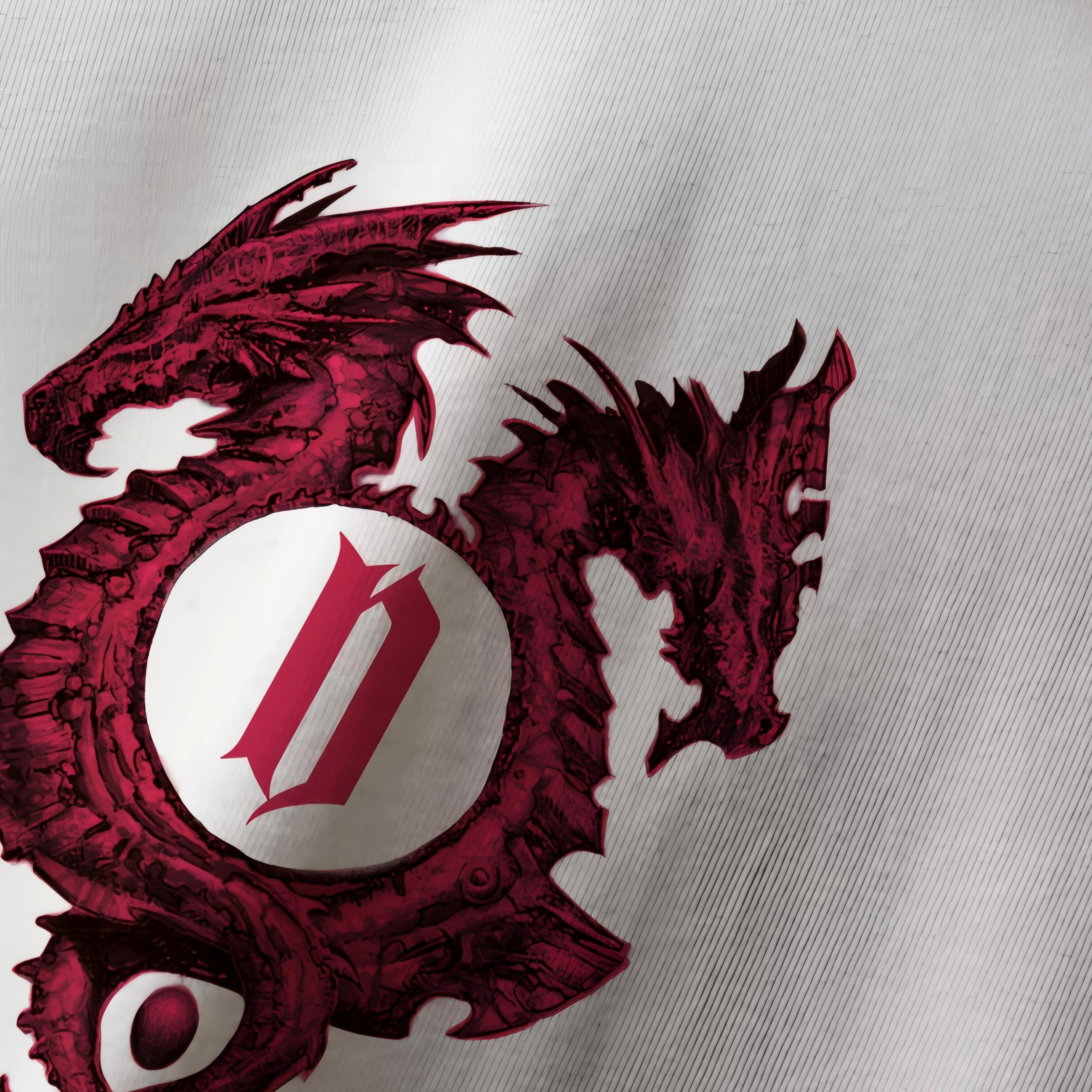 Red Dragon Dungeon Oversized Tshirt